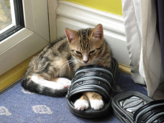 【高科技训练装备】从“纸上谈兵”到“数码提升”,高科技武器装备