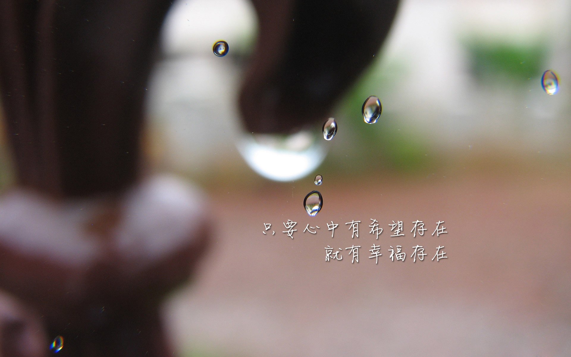 kaiyun体育综合-_体育摄影大赛：镜头捕捉运动瞬间之美_，体育摄影一般用什么镜头