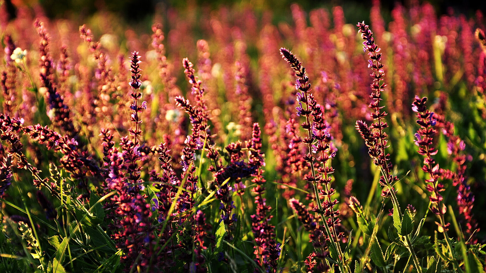 《【未来预设】2025电竞行业十大潜在革命》，电竞游戏未来