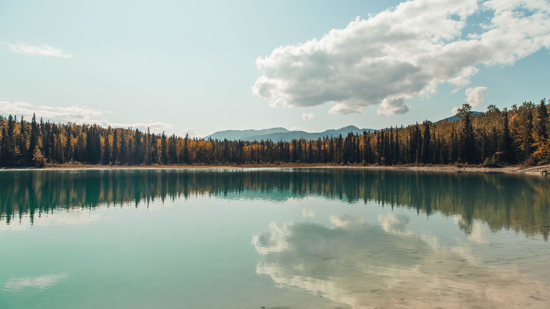 《明星主播聊电竞：他们的最爱游戏TOP3》，游戏主播和明星一起玩游戏