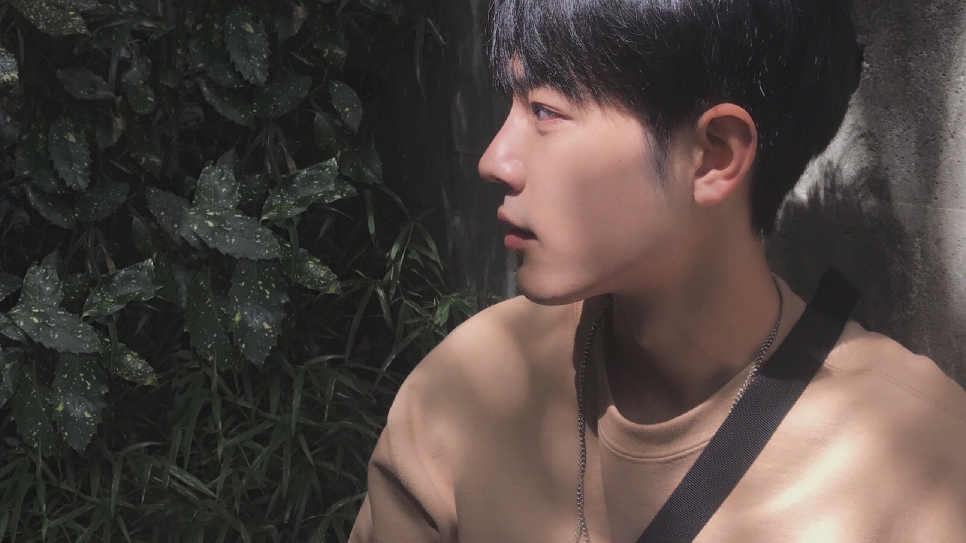 勇士发布“篮球哲学”系列书籍，深入浅出解读战术，篮球哲理