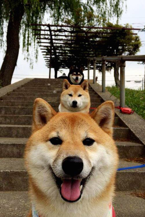 开云体育中国官网-史上最“炸裂”的盖帽集锦，谁是你心中的“防守之王”？，盖帽是啥