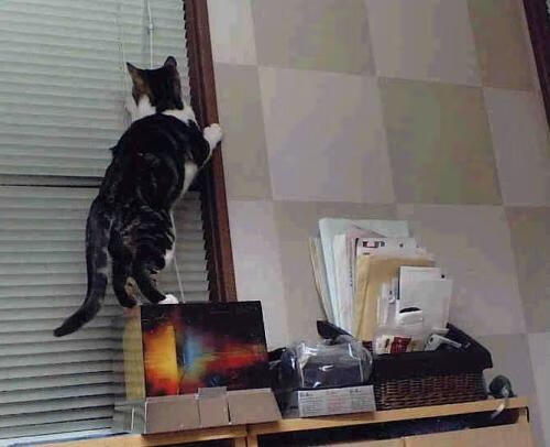 开云体育下载官网-日本男足奥运征程精彩纷呈！，日本男足奥运战绩